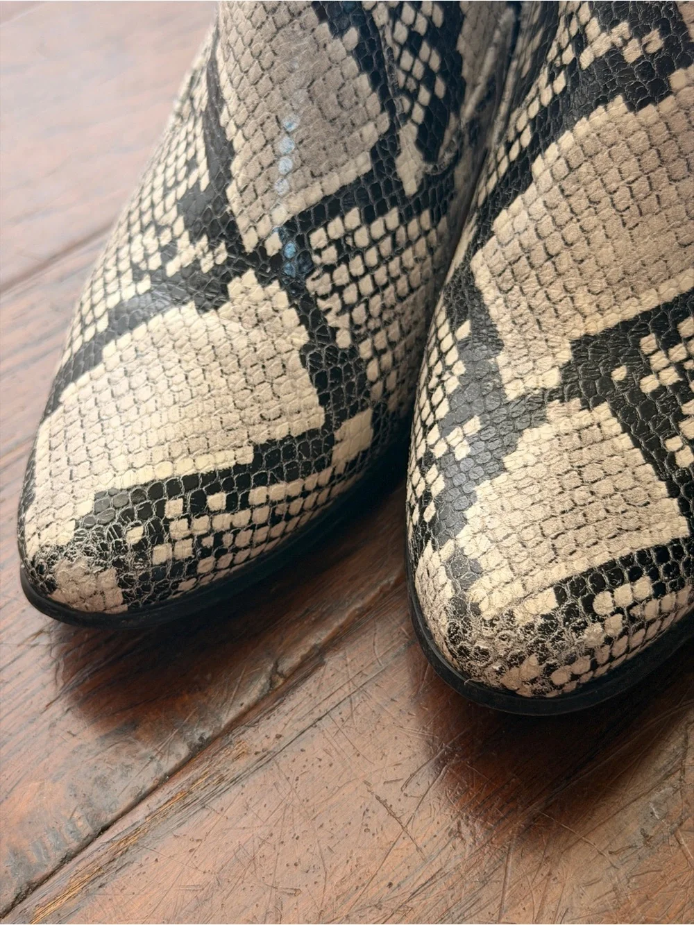 Calvin Klein Black & Ivory Snakeskin-Print Ankle Booties